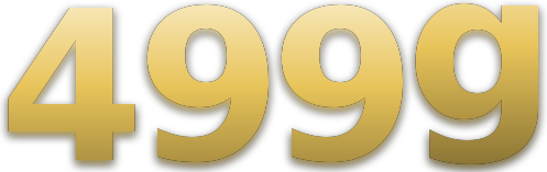 499g logo